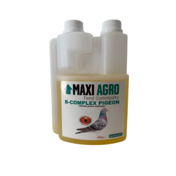 B-COMPLEX PIGEON -  uzupełnienie witamin z grupy B, wsparcie serca i wątroby