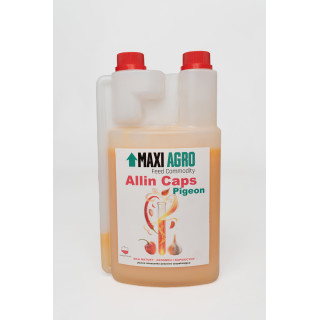 ALLIN CAPS PIGEON - wsparcie prawidłowego funkcjonowanie układu pokarmowego