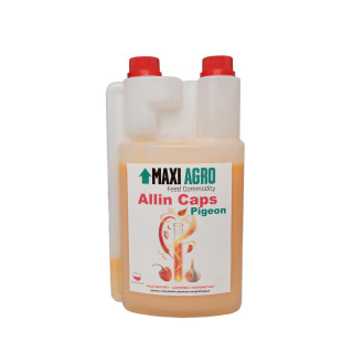 ALLIN CAPS PIGEON - wsparcie prawidłowego funkcjonowanie układu pokarmowego