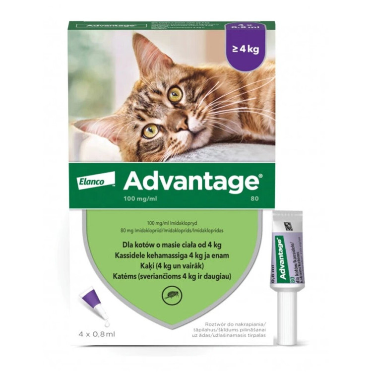Krople na pchły ADVANTAGE Duże koty 4 x 0.8 ml