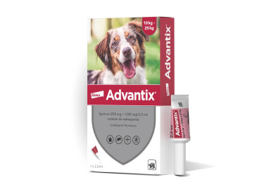 Advantix - dla psów 10-25kg (pipeta 2,5ml)