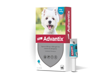 Advantix dla psów 4-10kg (pipeta 1ml)