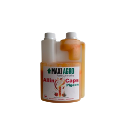 ALLIN CAPS PIGEON - wsparcie prawidłowego funkcjonowanie układu pokarmowego