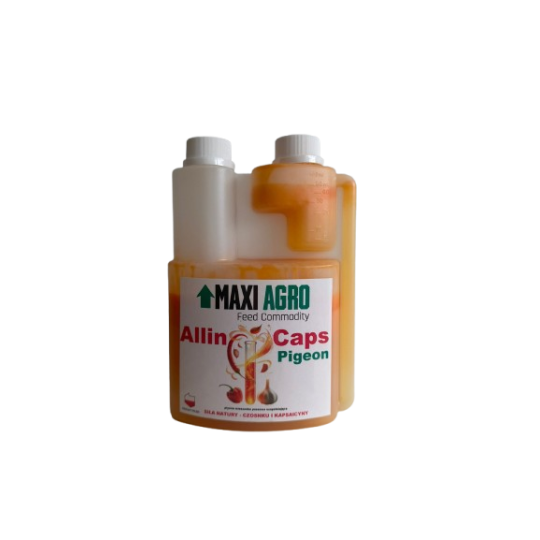 ALLIN CAPS PIGEON - wsparcie prawidłowego funkcjonowanie układu pokarmowego