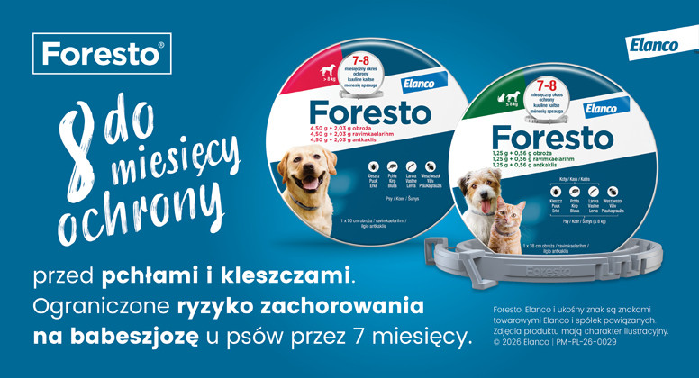 Foresto obroże