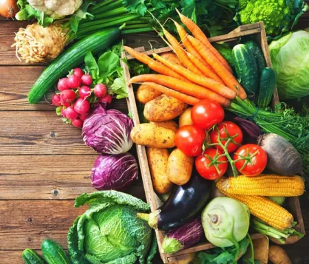 This is First Post For XipBlog