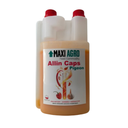 ALLIN CAPS PIGEON - wsparcie prawidłowego funkcjonowanie układu pokarmowego