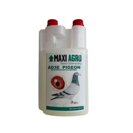 AD3E PIGEON