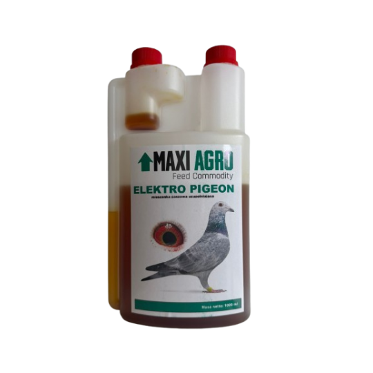 ELEKTRO PIGEON