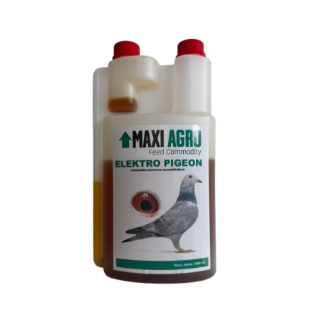 ELEKTRO PIGEON